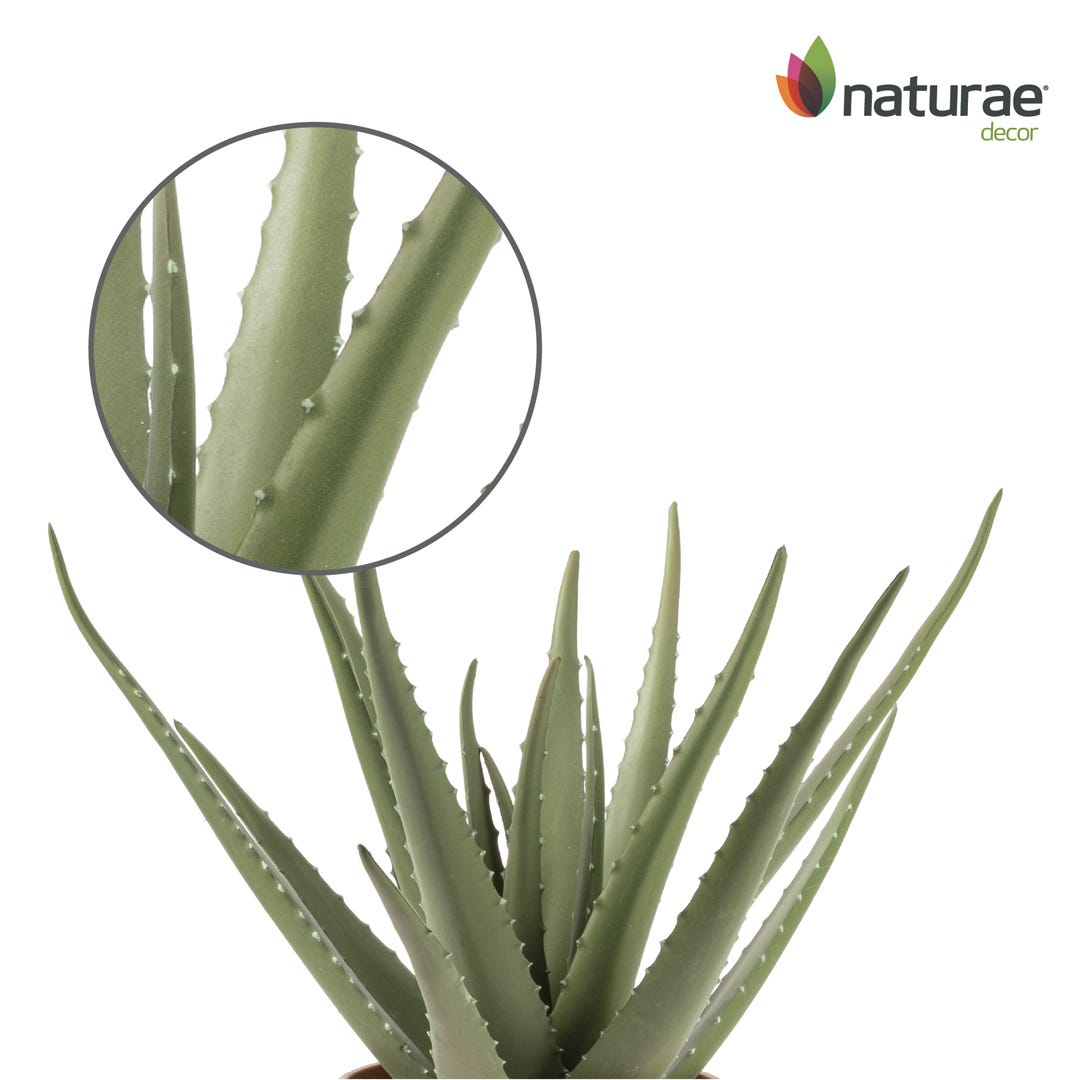 Artificial Aloe Vera In Terracotta Pot, 17  in.