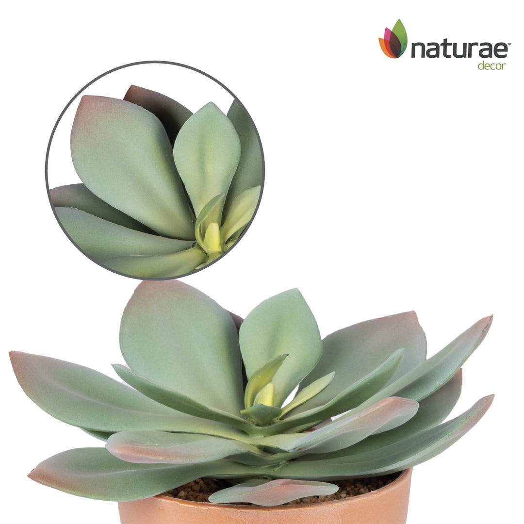 Artificial Echeveria In Terracotta Pot, 7  in.