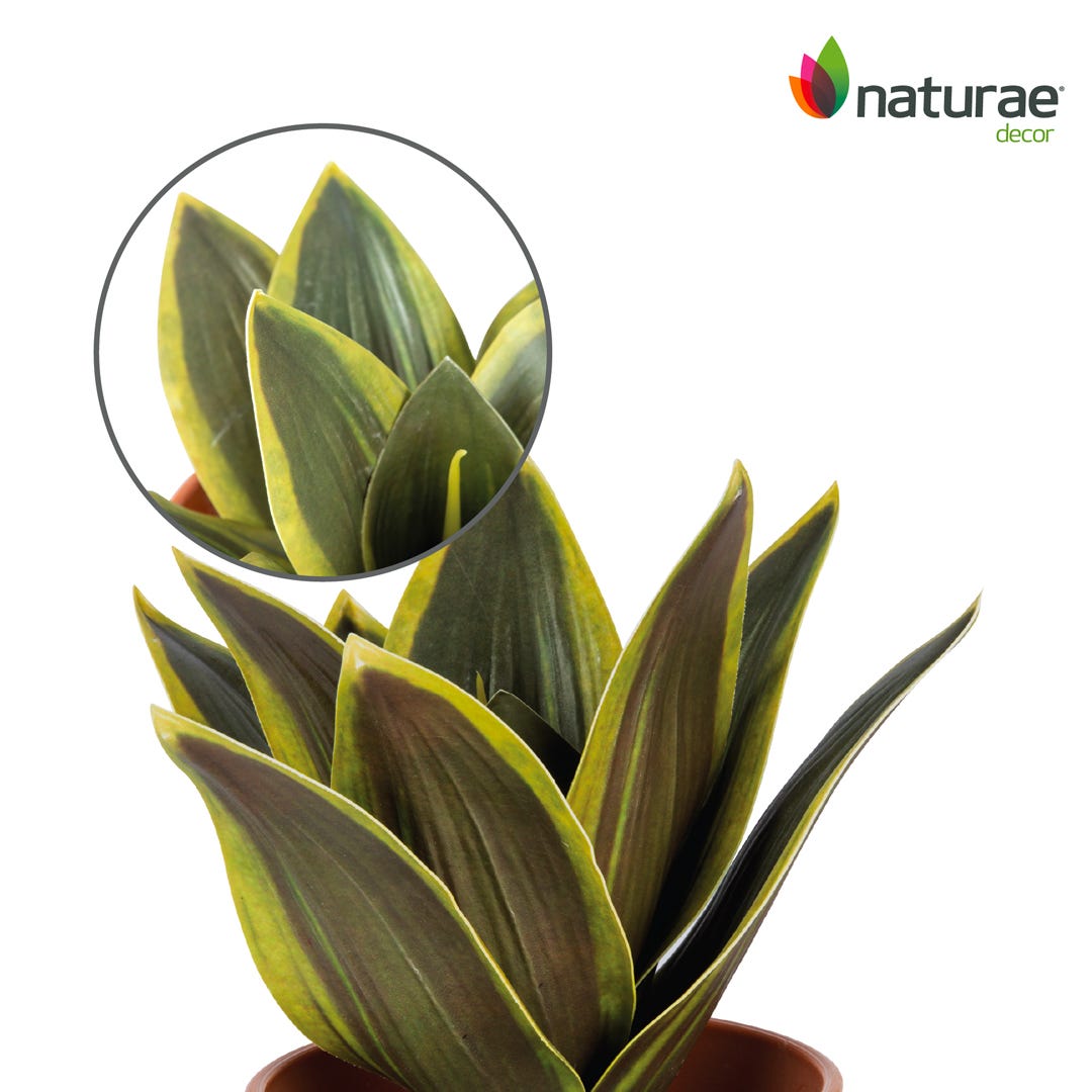 Artificial Sansevieria In Terracotta Pot, 9  in.
