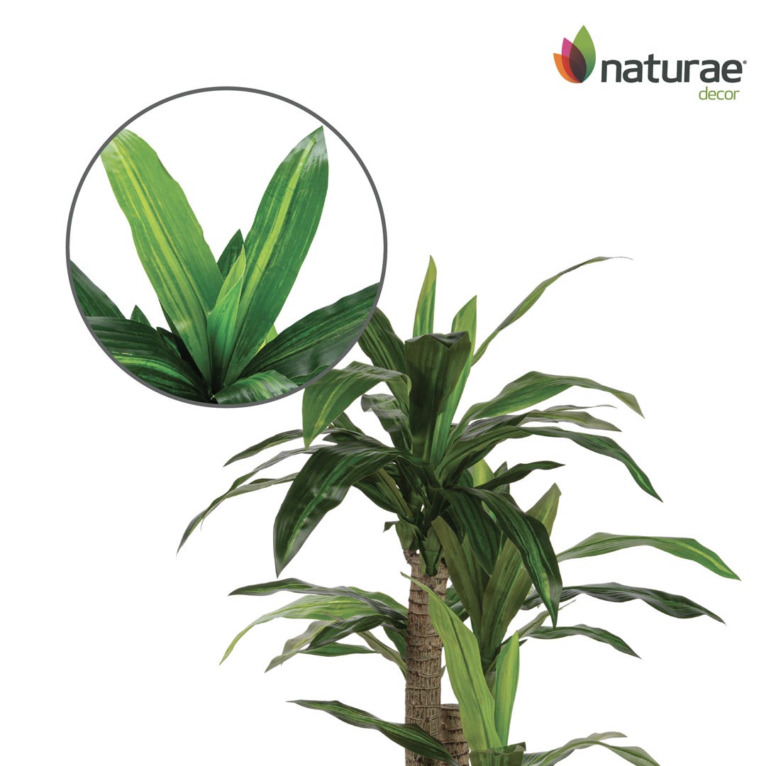 Artificial Dracaena In Black Pot, 49  in.