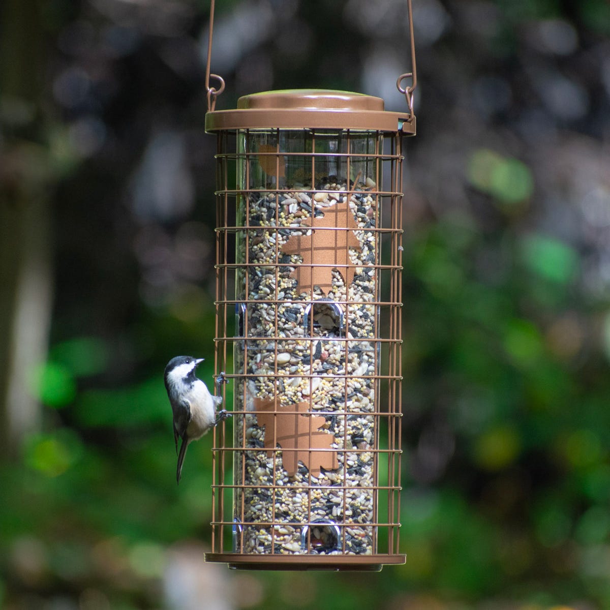 Brass Squirrel-Proof Feeder