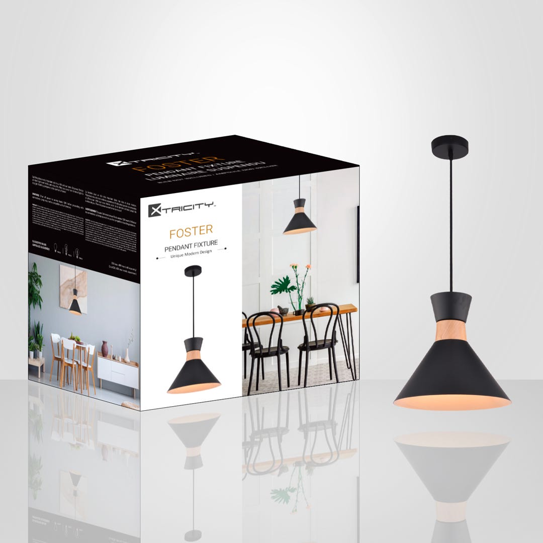 FOSTER Pendant Fixture, 1 Lamp, black