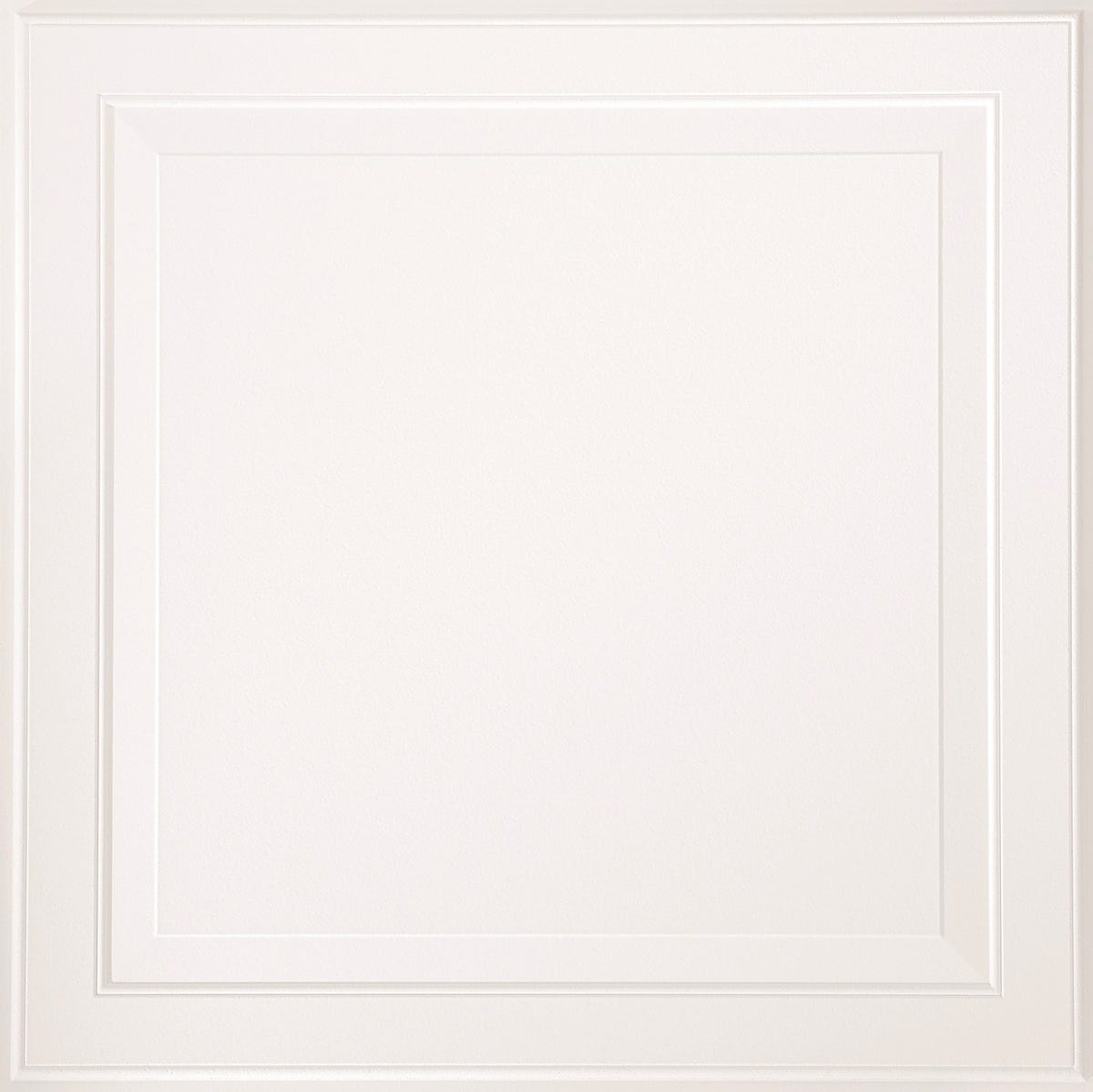 6-Piece 1205 Single Raised Ceiling Tile, 24-in. X 24-in. X 5/8-in.