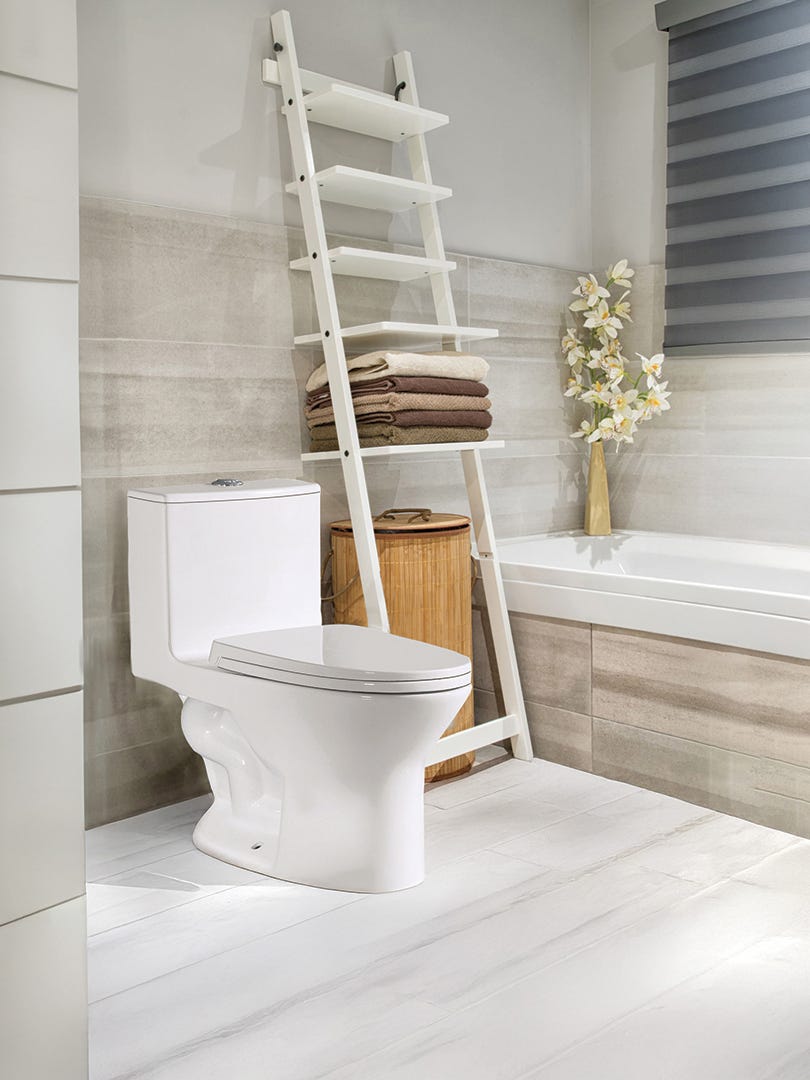 Elongated 1-piece Dual-Flush VIDA Toilet, 4/6 L, MAP 1000g