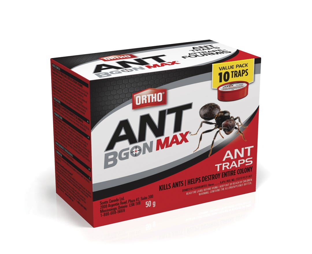 Ant B Gon Max Ant Traps, 10 Traps