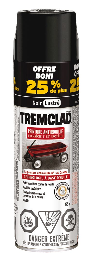 Anti-Rust Paint Oil-Based, Gloss Finish, Black, 425 g