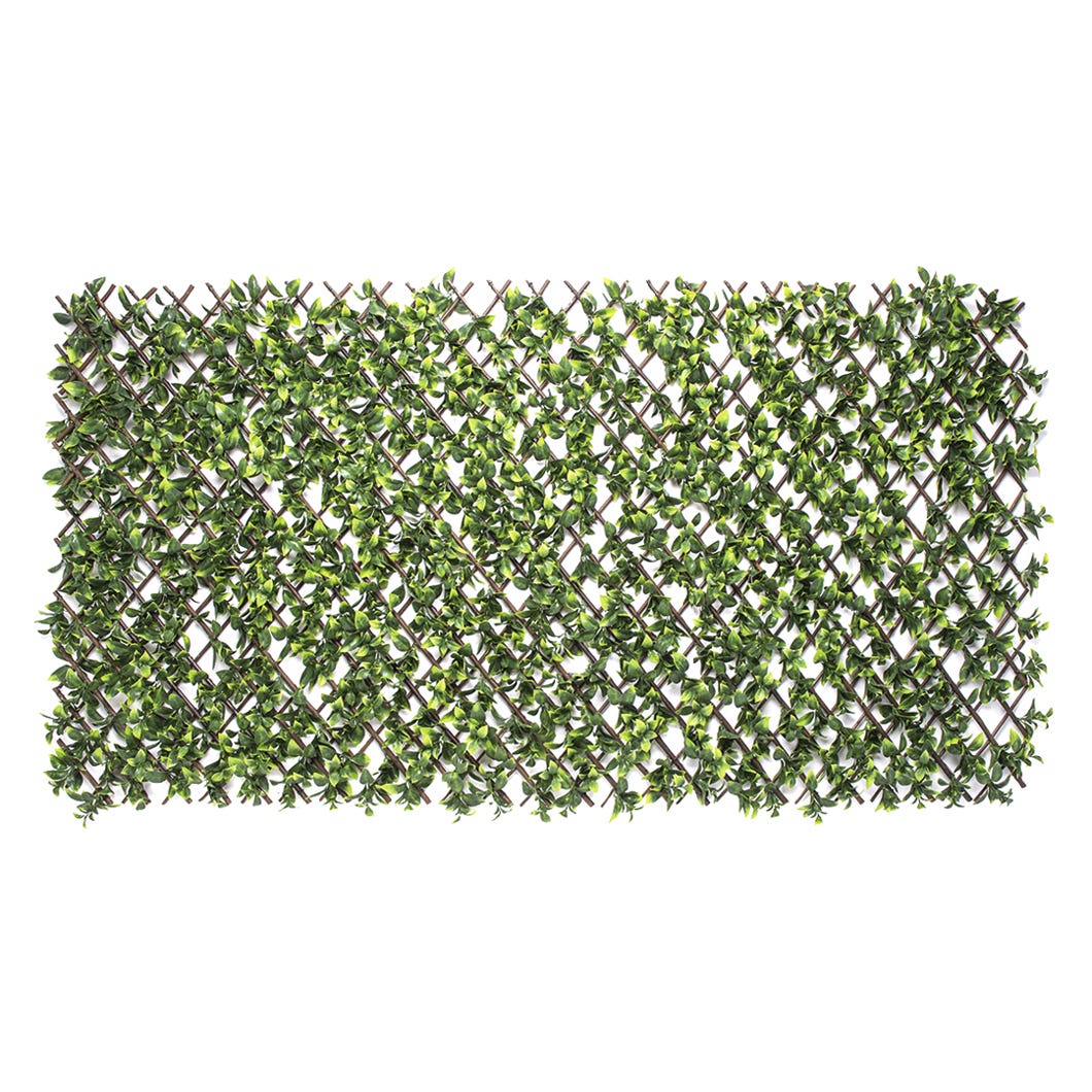 GARDINIA Expandable Decorative Trellis, 36 in. X 72 in.