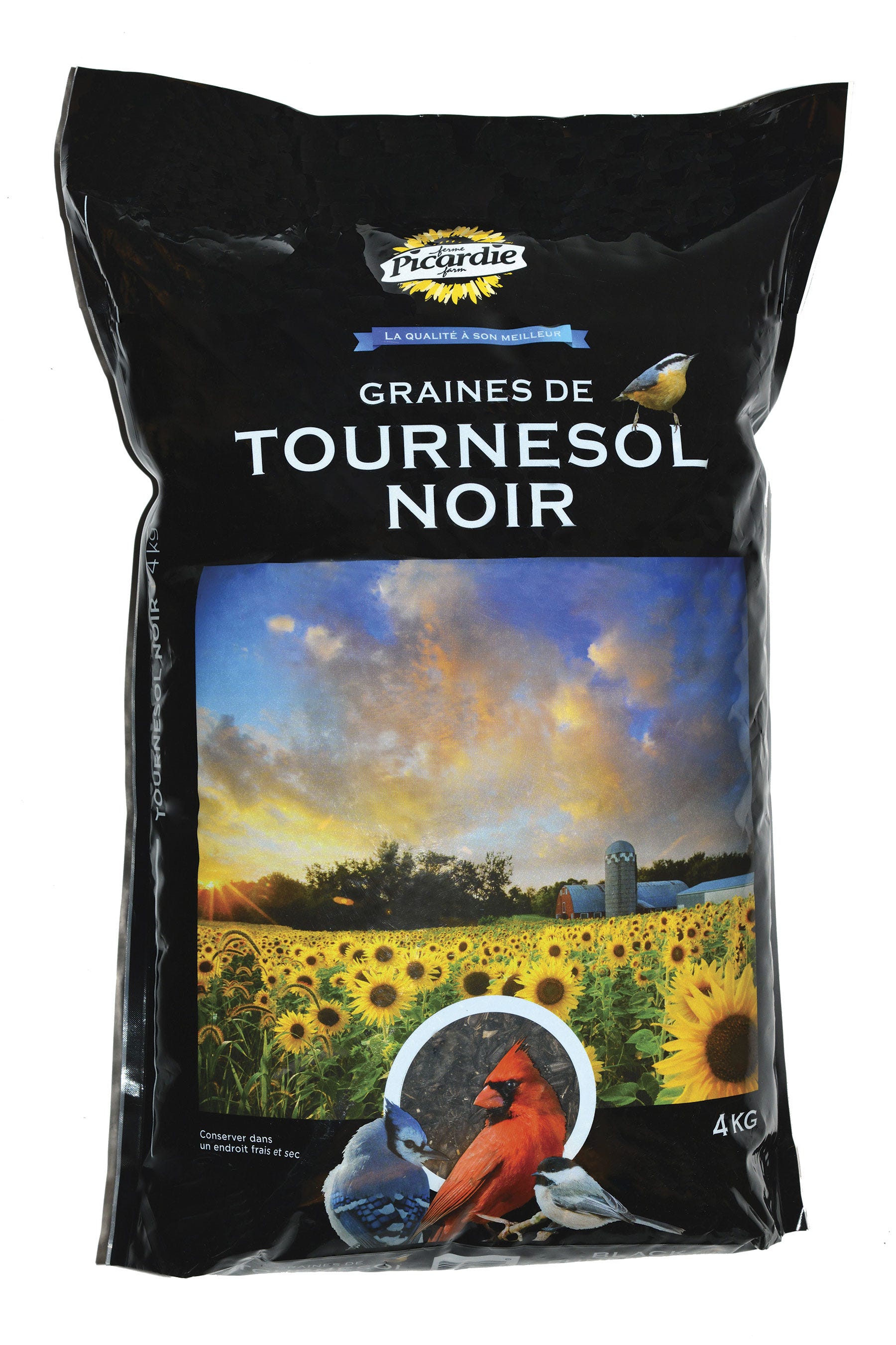 Black Sunflower Seeds for Wild Birds, 4 kg
