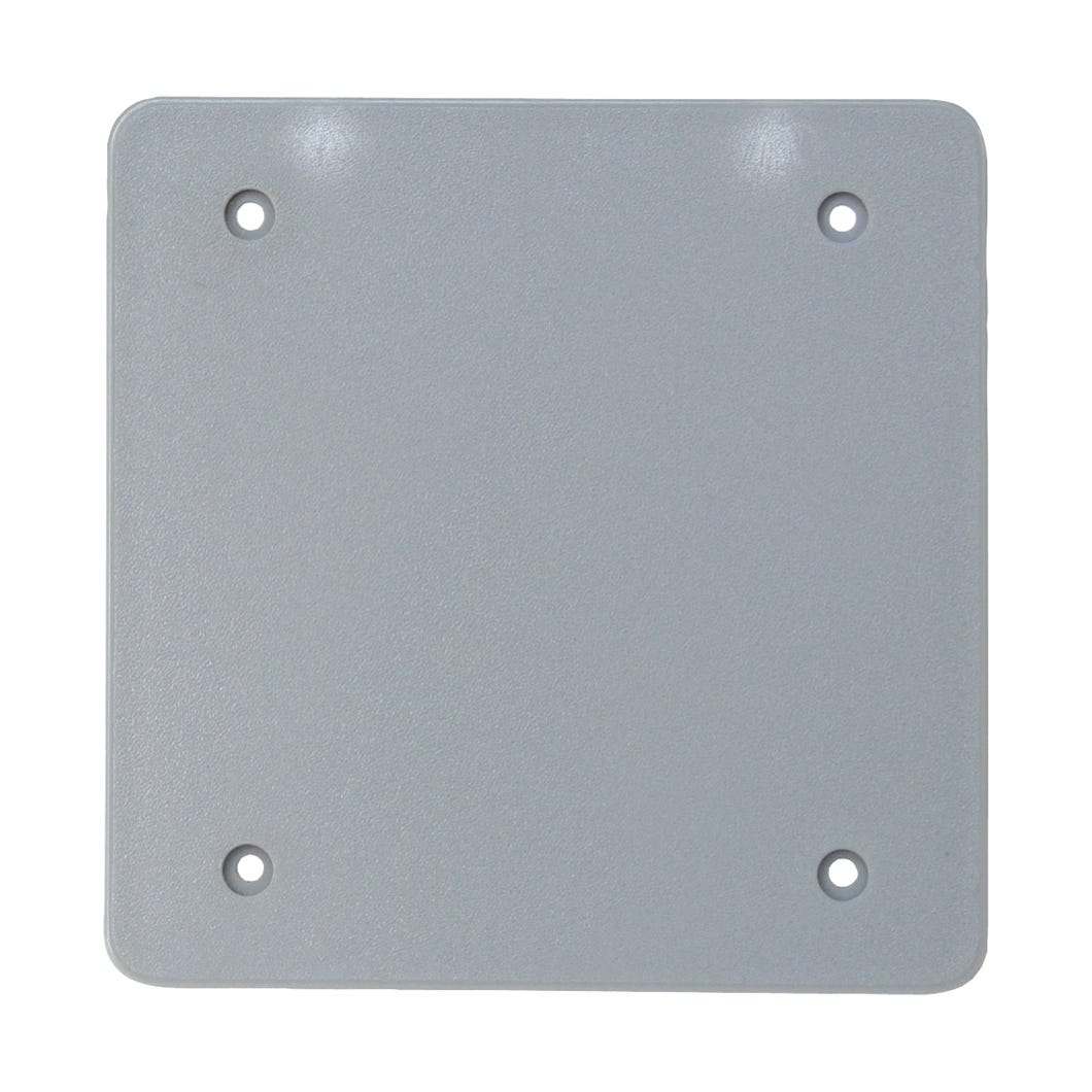 Blank Outdoor Fs Cover Weatherproof, PVC, 2 Gangs