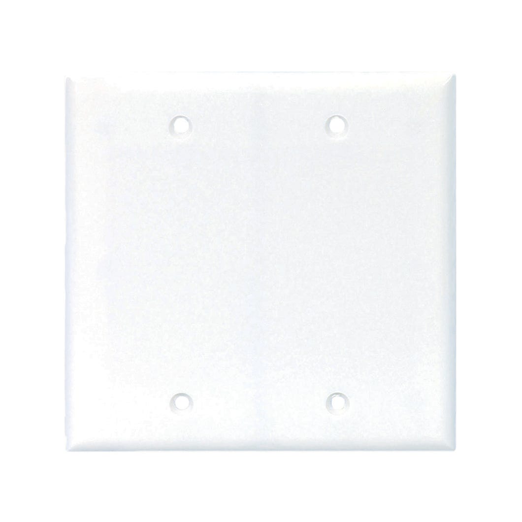 Blank wall plate  - duplex
