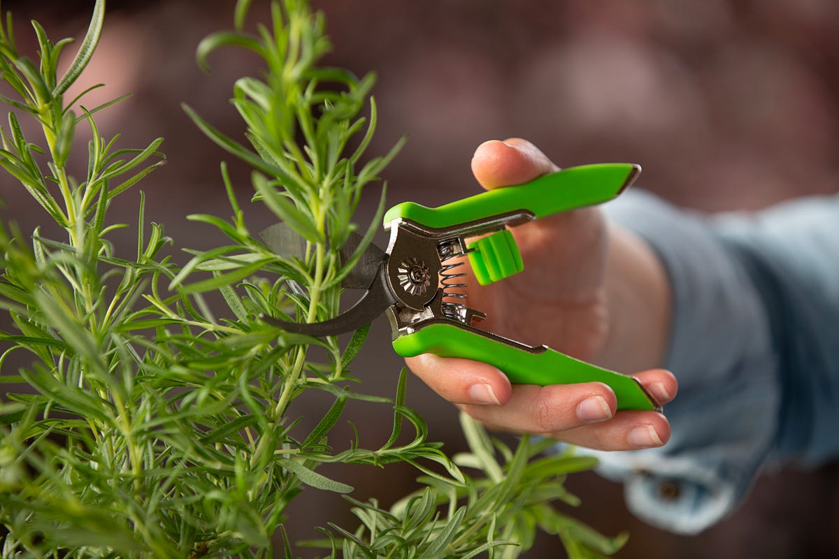 Botanica Precision Bypass Pruner