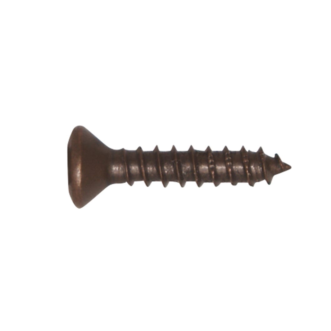 Oval Cabinet Hinge Screw, #5 X 5/8-in., 100/Pack