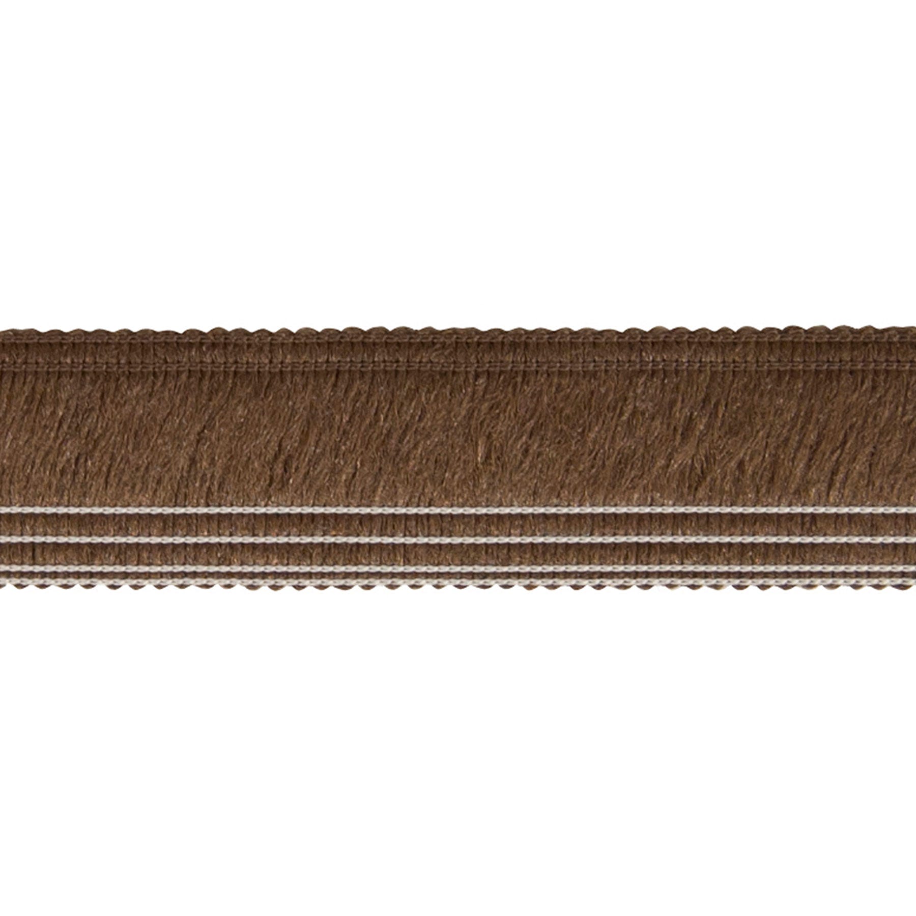 Runner Border, Mocha Nuts, 1.5 in. x 30 in.