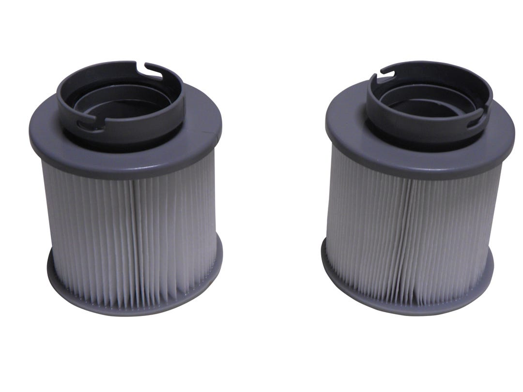 Cartridge Filter for Spa 2981305, 2/Pk