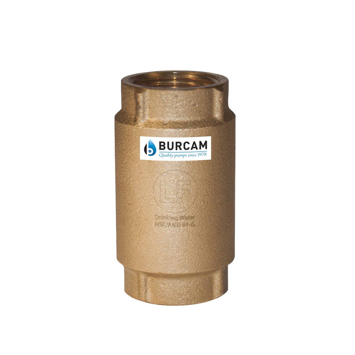 Check Valve, 1-1/2-in., Brass