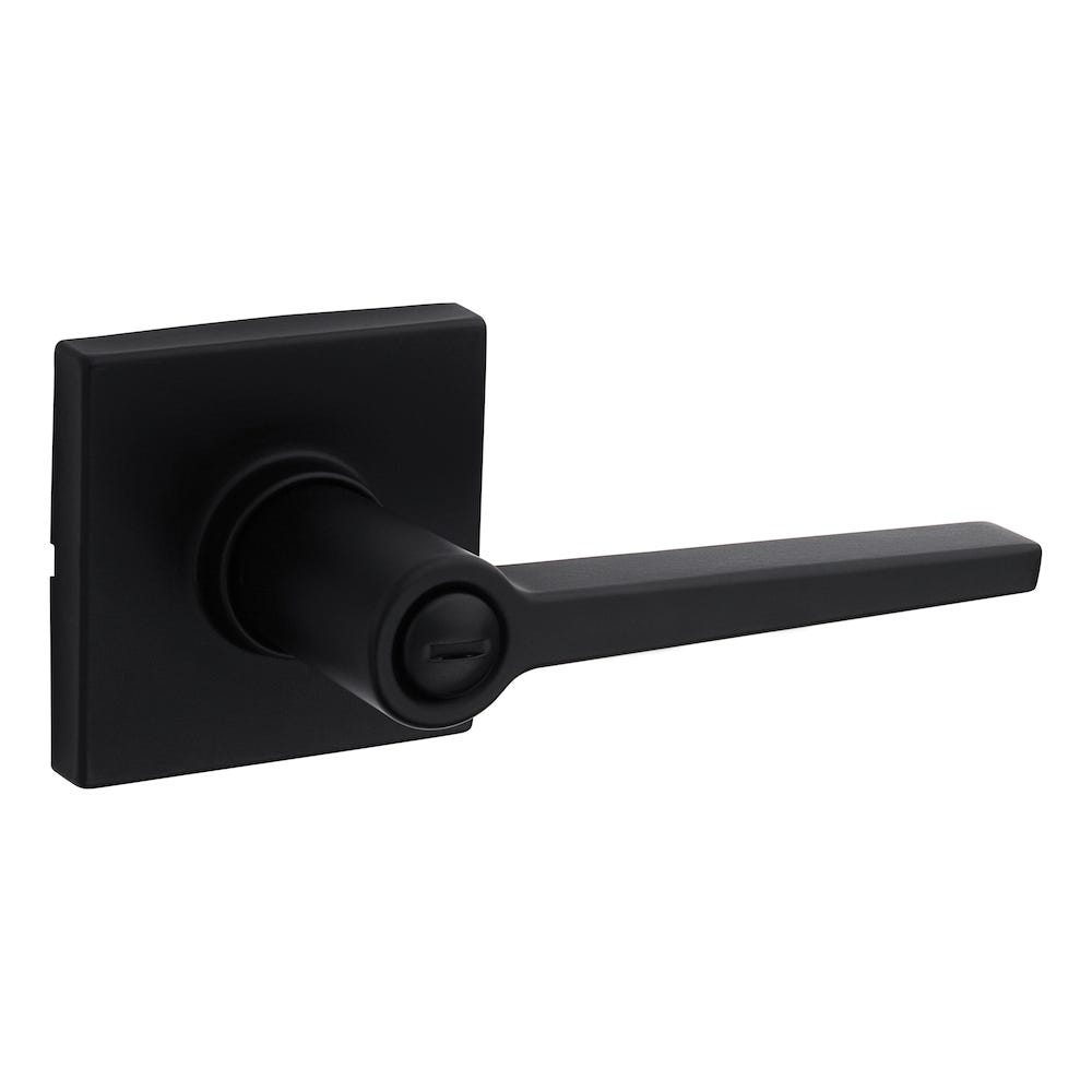 DAYLON Privacy Door Lever