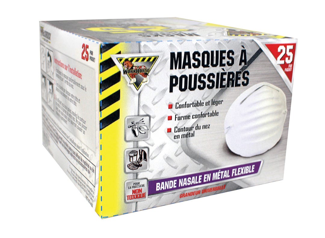 Disposable Dust Mask