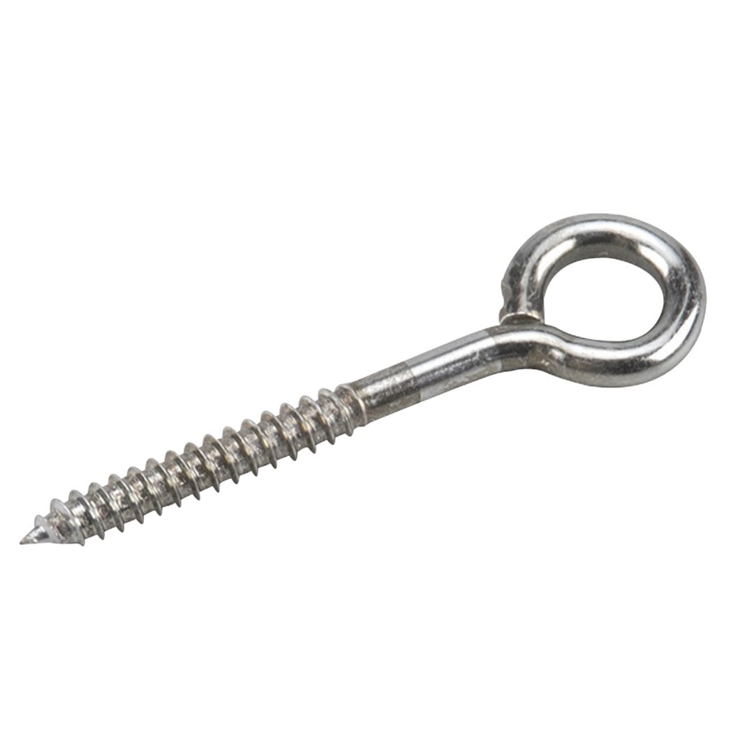 Eye Bolt with Lag Thread, 5/16-in. X 4-in.