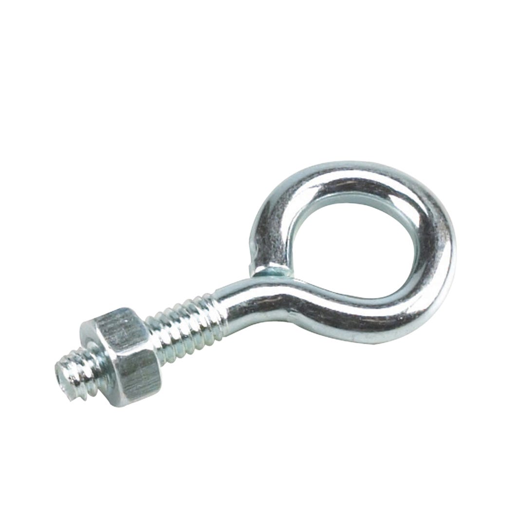 Eye Bolt with Nuts, 1/4-in. X 2-in.