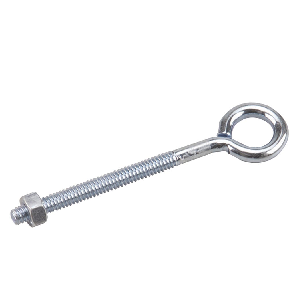 Eye Bolt with Nuts, 1/4-in. X 4-in.