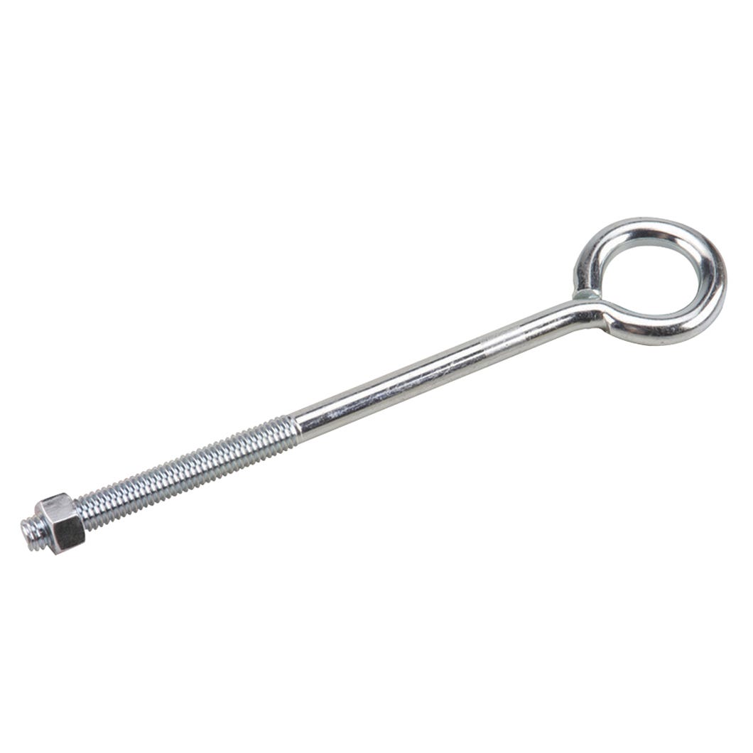 Eye Bolt with Nuts, 3/8-in. X 8-in.