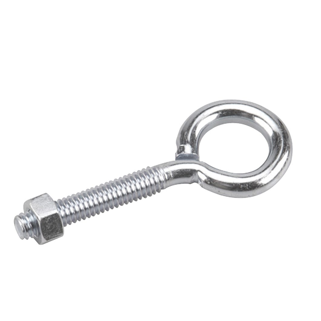 Eye Bolt with Nuts, 5/16-in. X 3 1/4-in.