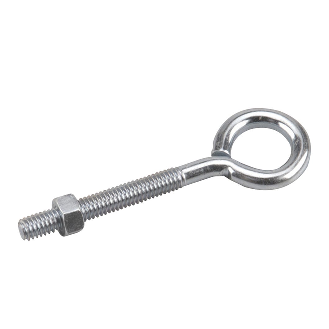 Eye Bolt with Nuts, 5/16-in. X 4-in.