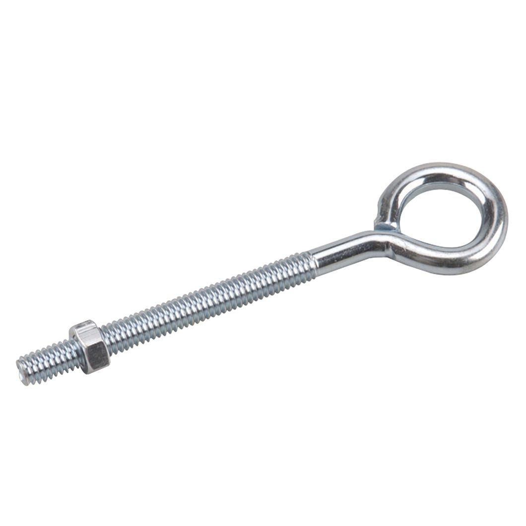 Eye Bolt with Nuts, 5/16-in. X 5-in.