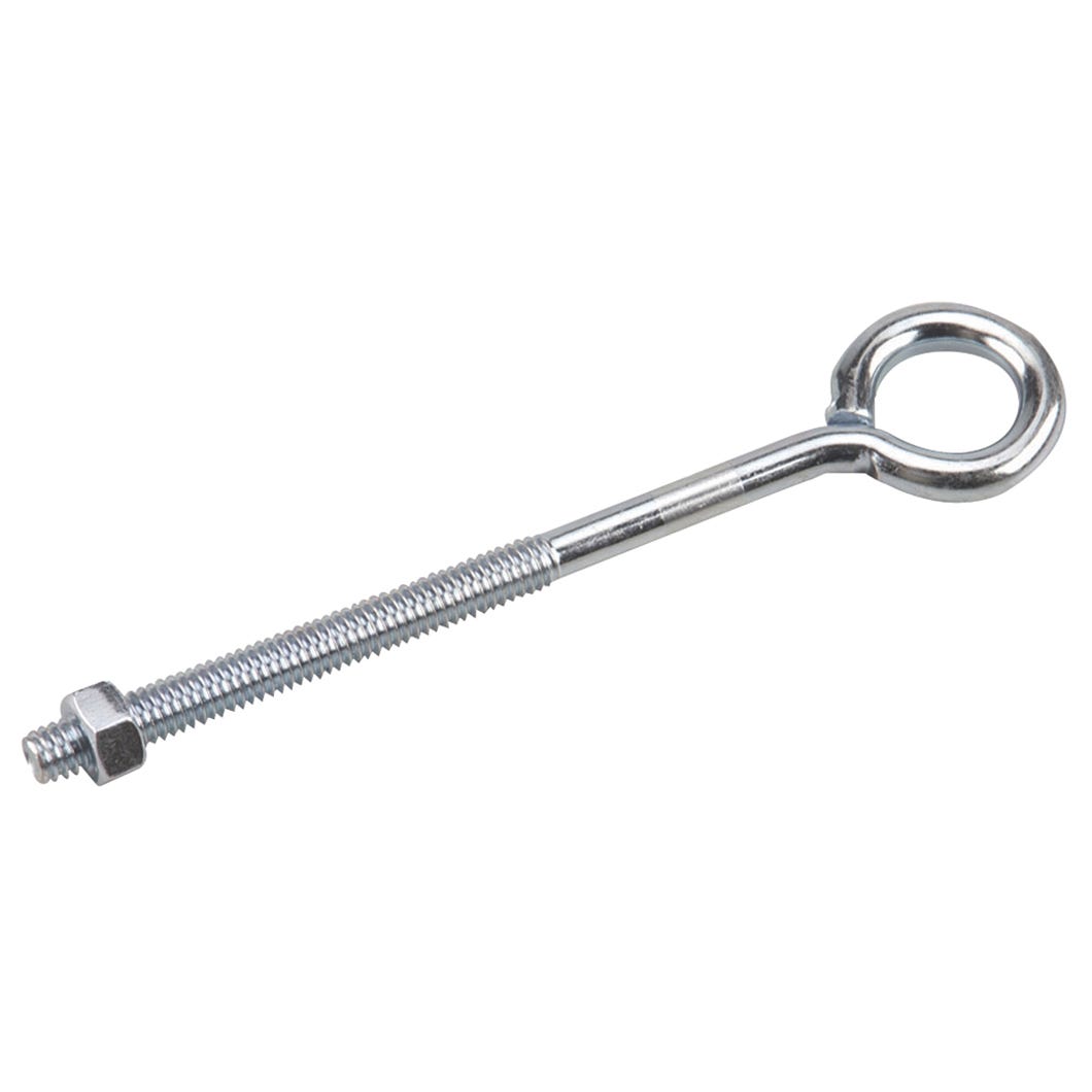 Eye Bolt with Nuts, 5/16-in. X 6-in.
