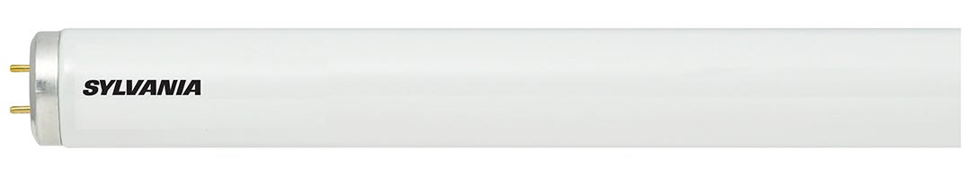 Fluorescent Light Bulb, 48in. 2/Pack, cool white