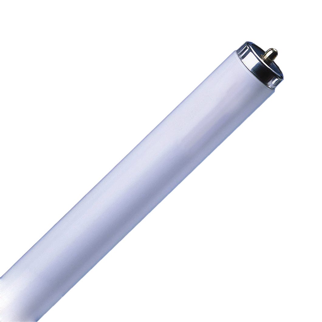 Fluorescent Tube Light, F96T12/Cw/Ss