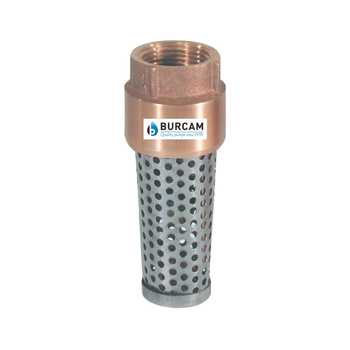 Foot Valve, 3/4-in., Brass