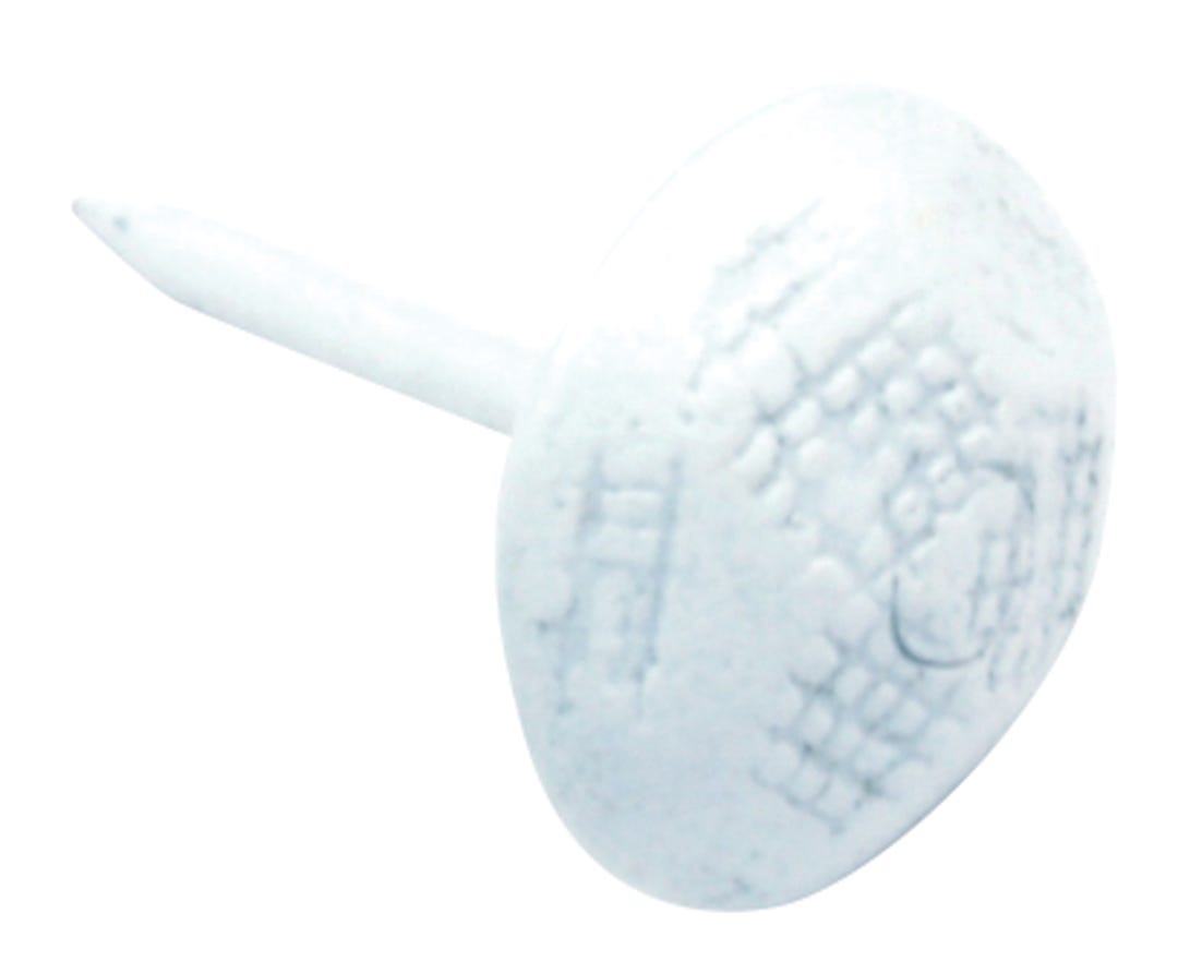 Furniture nail 1/2 in x 7/16 in 40/Pack