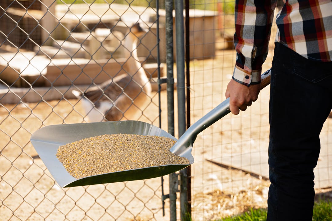 Garant Econo Grain Scoop