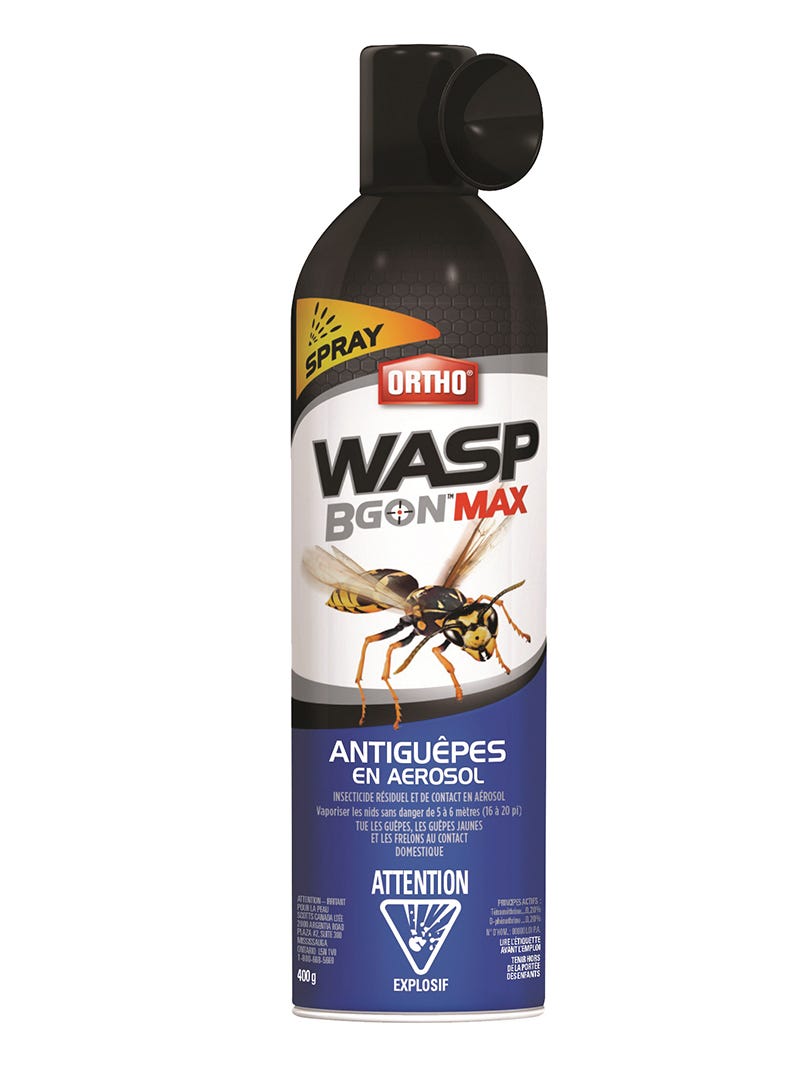 HOME DEFENSE MAX Anti Wasp Spray, 400 g