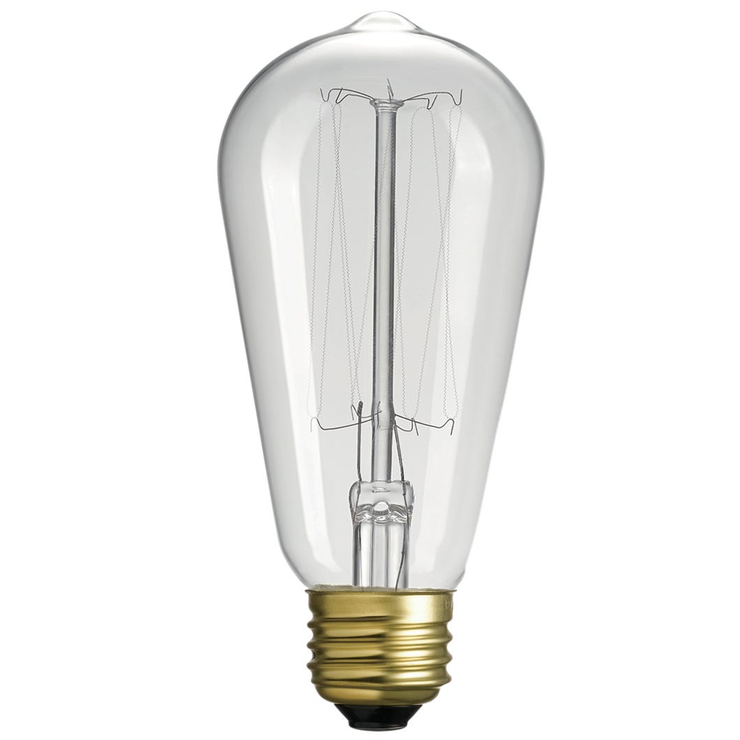 Incadescent filament  bulb light, squirrel cage