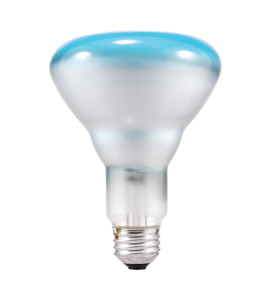 Incadescent Grow Bulb, Indoor