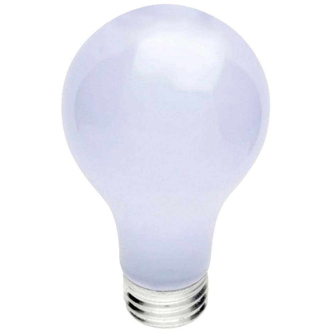 Incandescent Light Bulb, 3-Way, Indoor