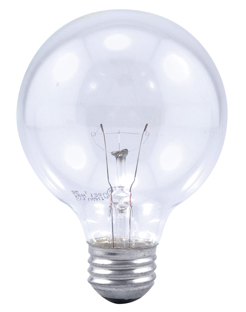 Incandescent Light Bulb Decorative Globe, Indoor