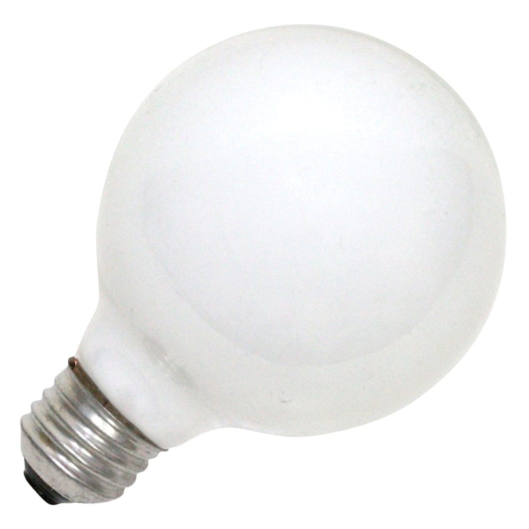 Incandescent Light Bulb Decorative Globe, Indoor