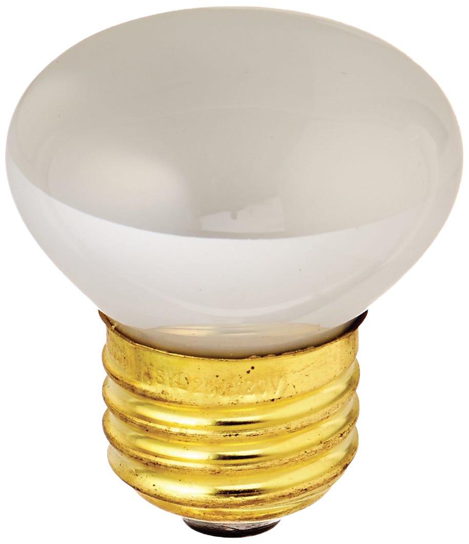 Incandescent Light Bulb Mini-Floodlight, Indoor