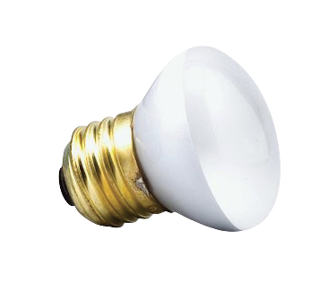 Incandescent Light Bulb Mini-Floodlight, Indoor