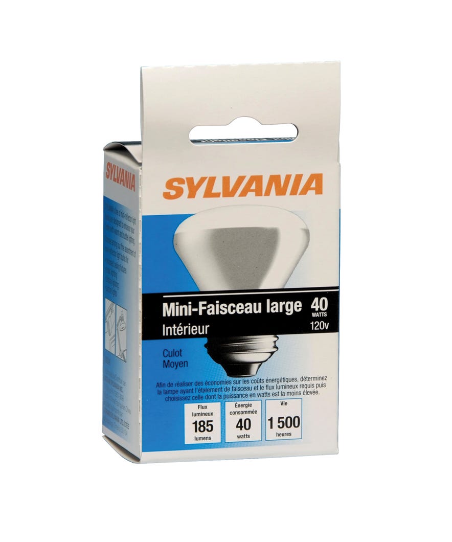 Incandescent Light Bulb Mini-Floodlight, Indoor