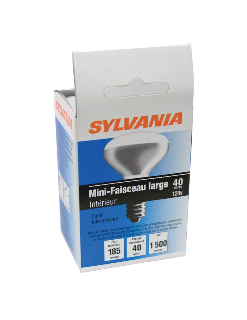 Incandescent Light Bulb Mini-Floodlight, Indoor