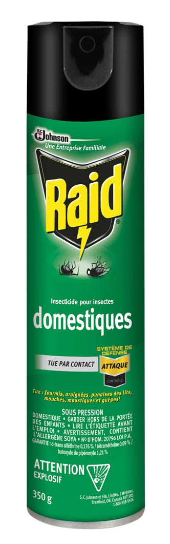Raid Home Insect Killer, 350G