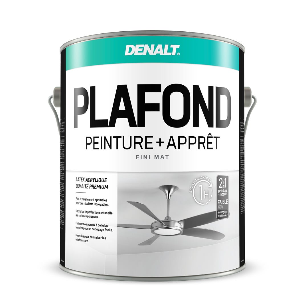 Interior Flat Paint Ceiling, Natural White, Gallon