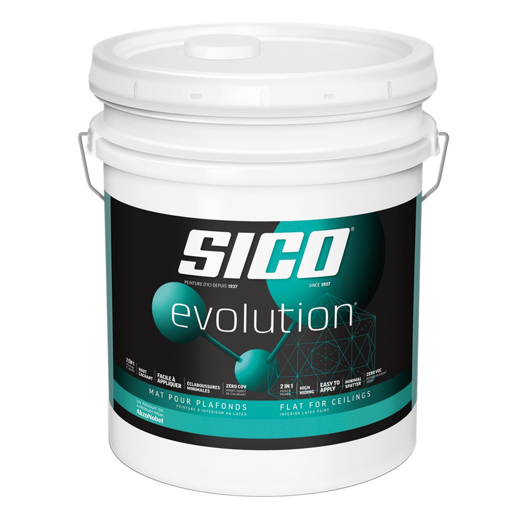 EVOLUTION Interior Paint/Primer for Ceiling Latex, Flat Finish, White, 18.9 L