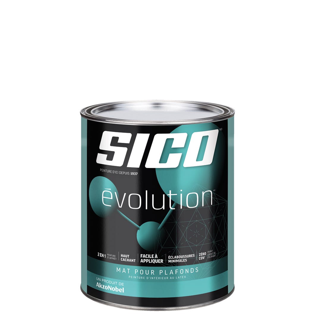 EVOLUTION Interior Paint/Primer for Ceiling Latex, Flat Finish, White, 946 ml