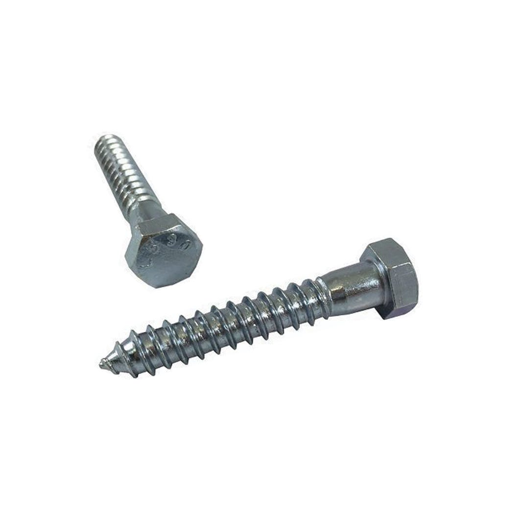 Lag Screw, 5/16-in. X 6-in., 50/Pack