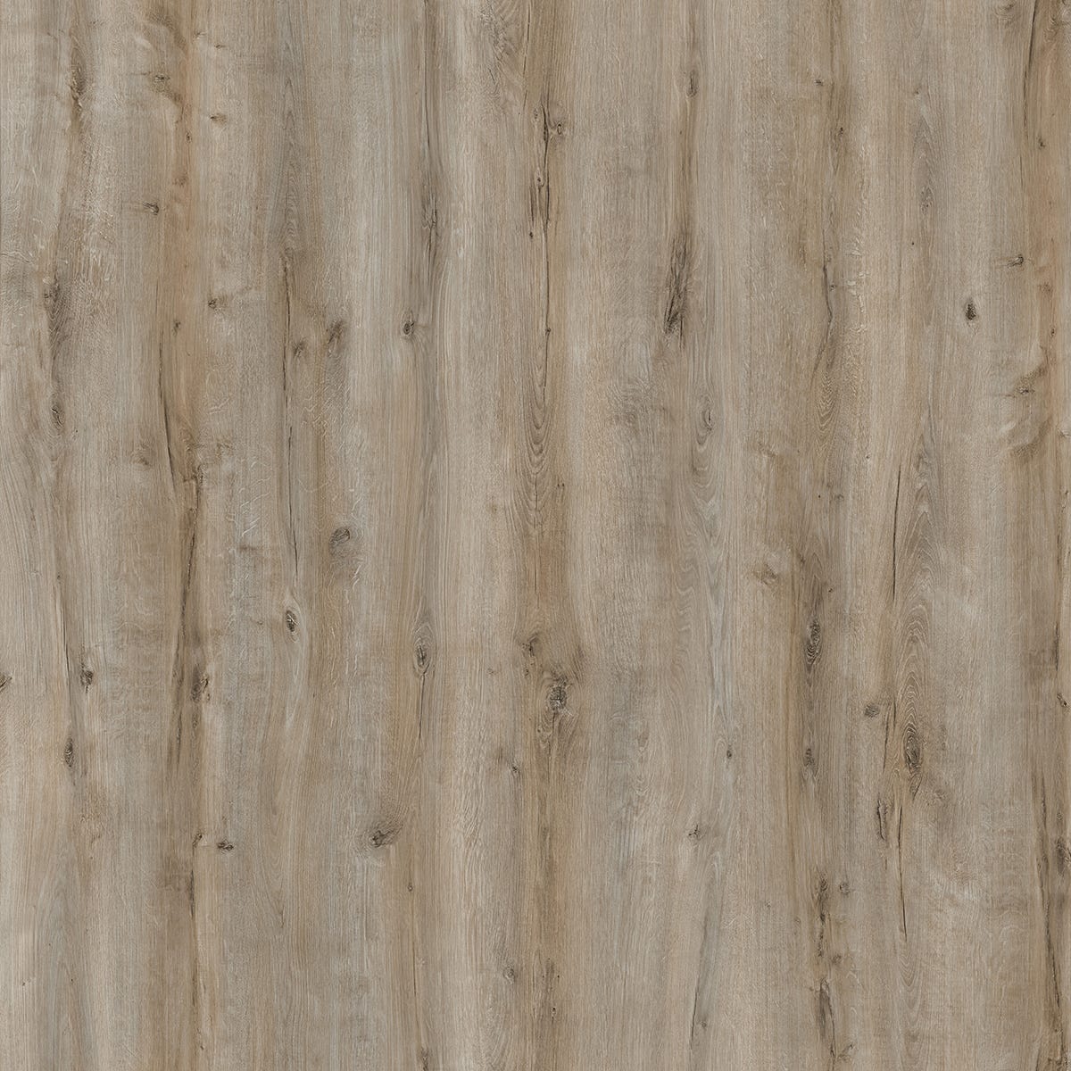 OKA Laminated Flooring, 8 mm, AC4, Rome Brown